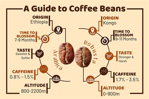 What To Know About Coffee Beans