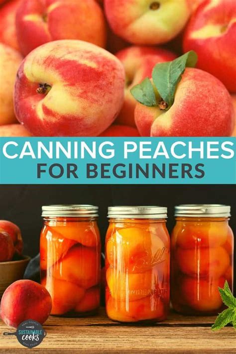 What To Make With Peaches In A Can