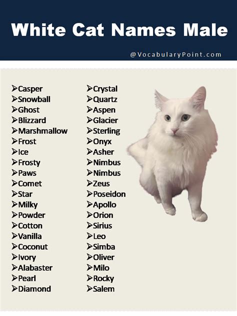what to name a white girl cat