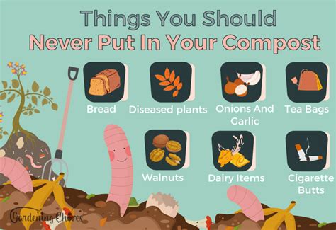 What To Put And Not Put In Compost
