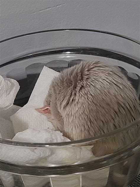 What To Put In A Bath Reddit