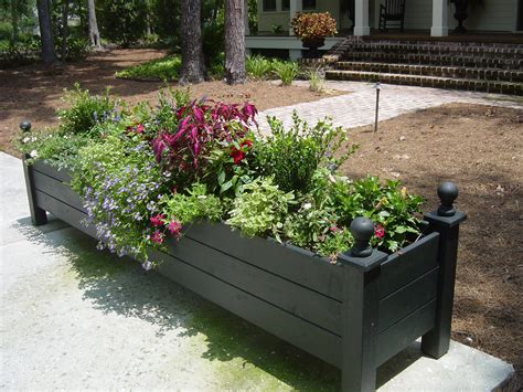 What To Put In A Planter Box