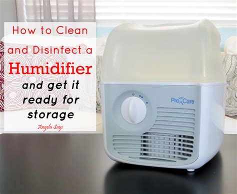 What To Put In Humidifier Water To Keep It Clean