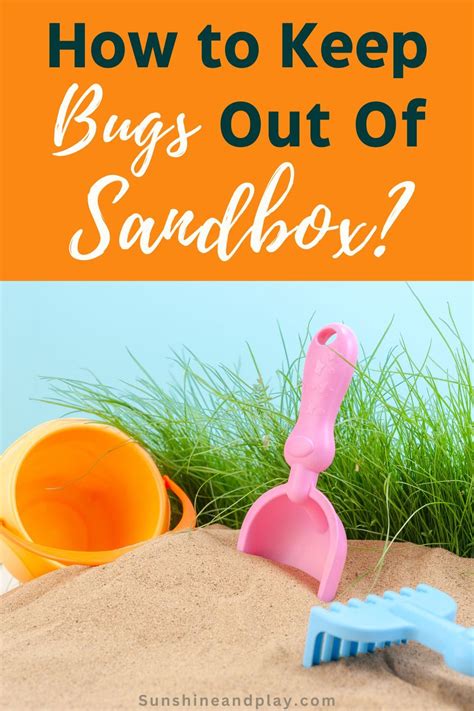 What To Put In Sand To Keep Bugs Out
