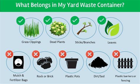 What To Put In Yard Waste Bin