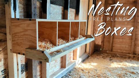 What To Put In Your Nesting Boxes