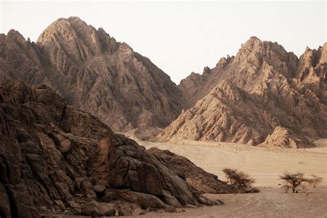 what to see in the sinai desert