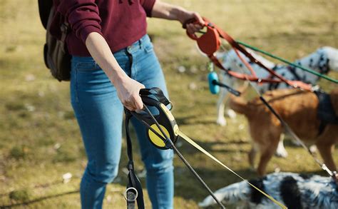What To Use For A Dog That Pulls