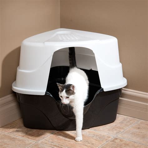 what to use for litter box