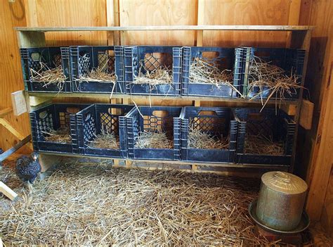 What To Use For Nesting Boxes