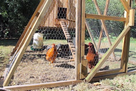 What To Use In The Bottom Of A Chicken Coop