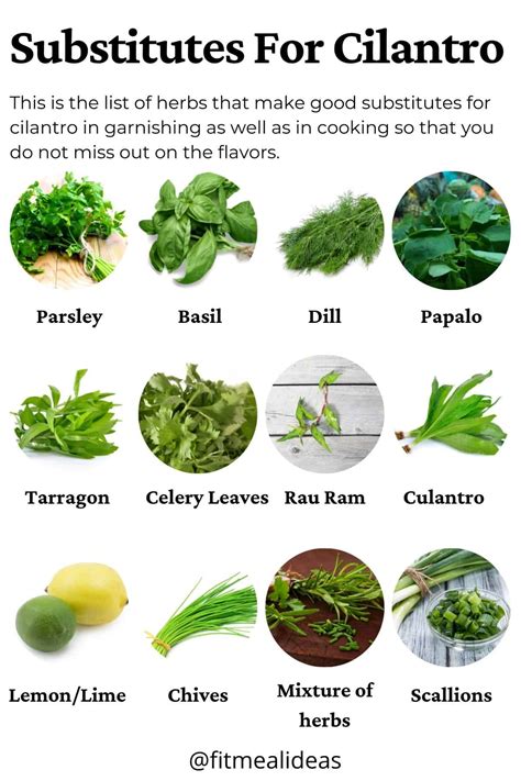 What To Use Instead Of Cilantro
