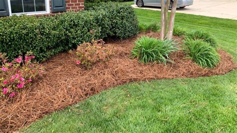 What To Use Instead Of Mulch