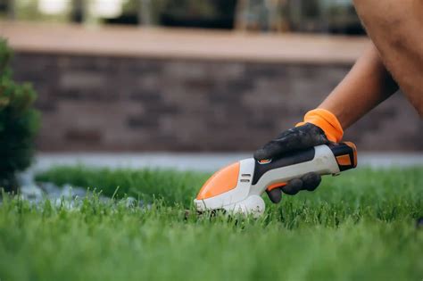 What To Use To Clean Turf