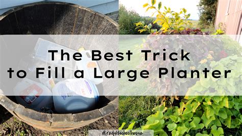 What To Use To Fill Space In A Planter