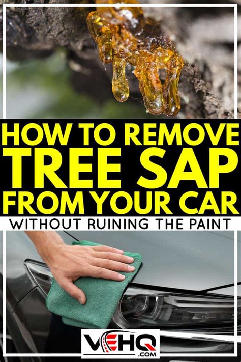 What To Use To Remove Tree Sap From Car Paint