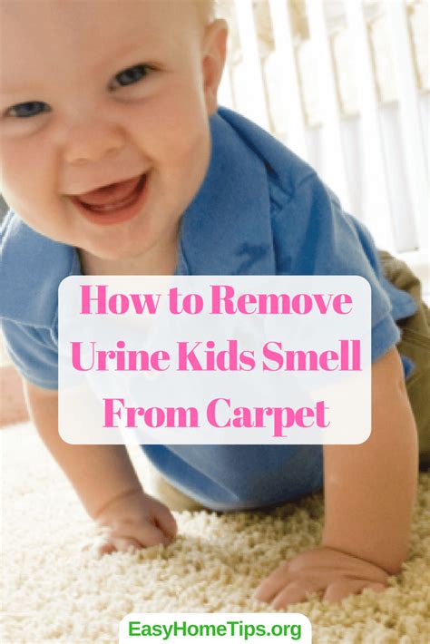 What To Use To Remove Urine Smell From Carpet