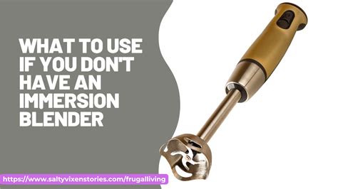What To Use When You Don't Have An Immersion Blender