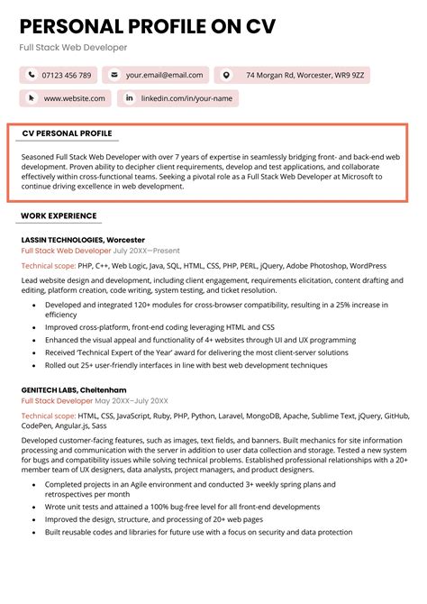 what to write in a cv profile examples