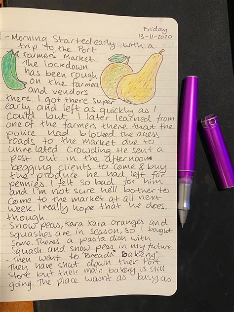 what to write in a journal examples for beginners
