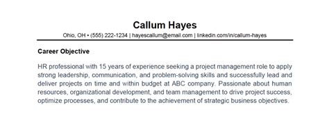 what to write in cv career objective