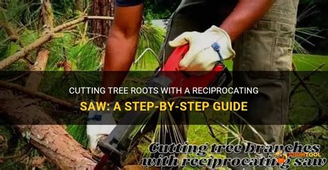 What Tool To Use To Cut Tree Roots