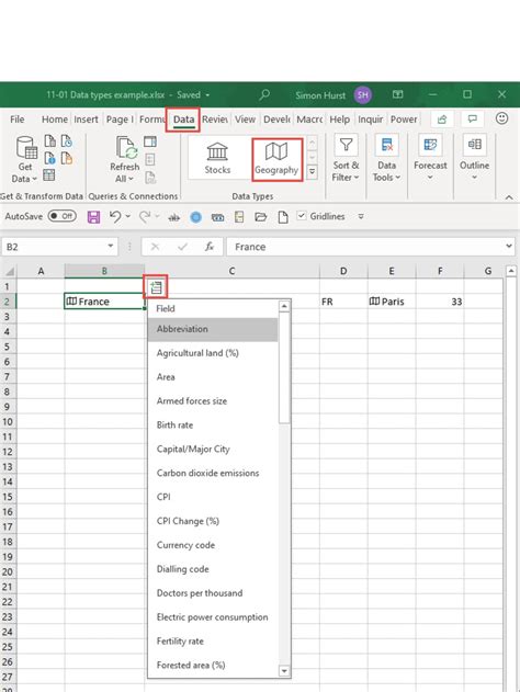 what type of data can be entered in ms excel
