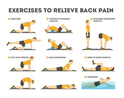 what type of exercise is best for lower back pain