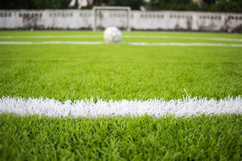 what type of grass in soccer field