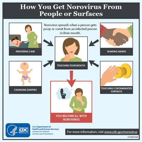 what type of isolation for norovirus