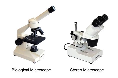 What Type Of Light Does A Compound Microscope Use