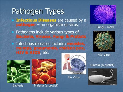 what type of pathogen is dengue