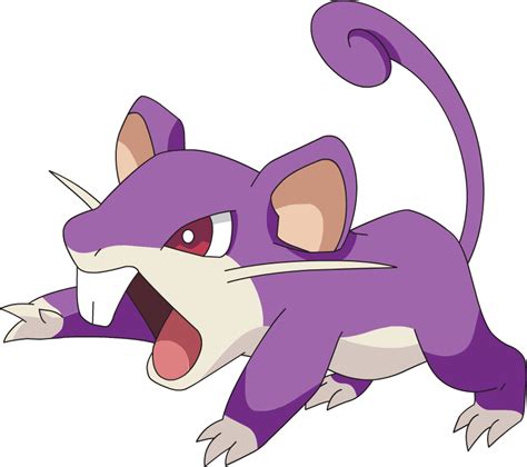 what type of pokemon is rattata