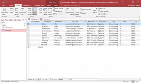 what type of program is ms access
