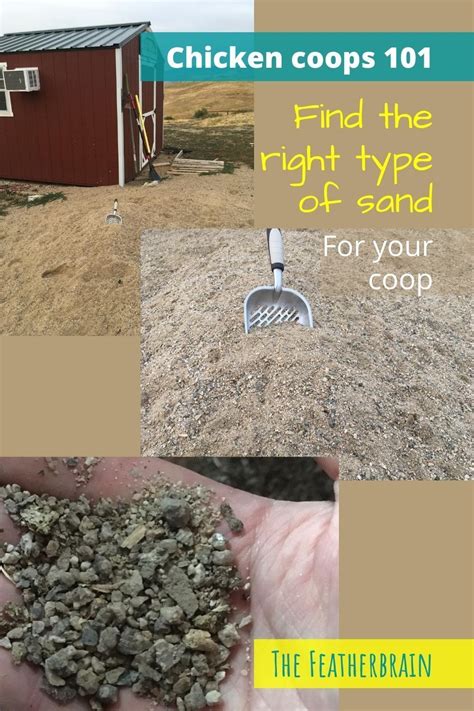What Type Of Sand To Use In Chicken Coop