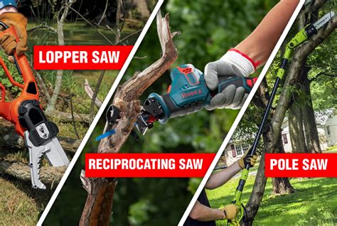 What Type Of Saw To Cut Tree Branches