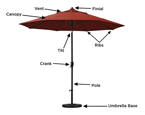 What Type Of Structure Is The Canopy Of An Umbrella