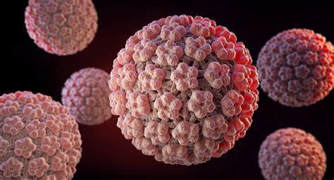 what type of virus is hpv