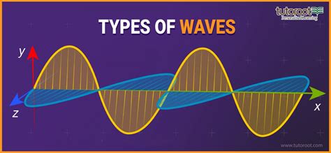 What Type Of Waves Are There