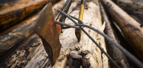 What Type Of Wood Doesn T Float