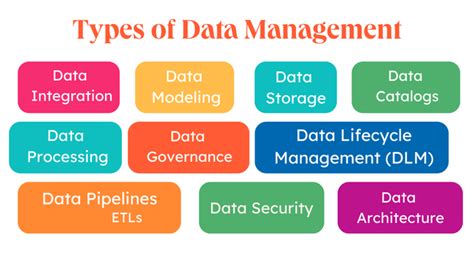 what types of data management systems have you used
