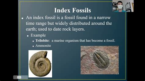 What Types Of Fossils Do Not Qualify As Index Fossils