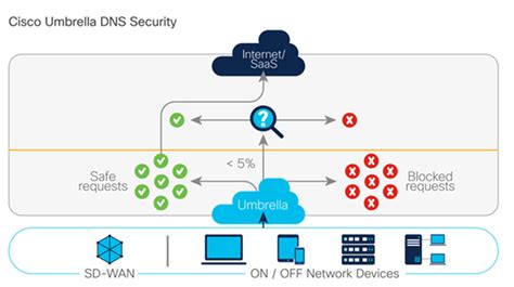 What Umbrella Network