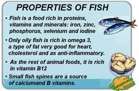 What Vitamins Does Fish Contain
