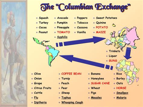 what was the columbian exchange summary