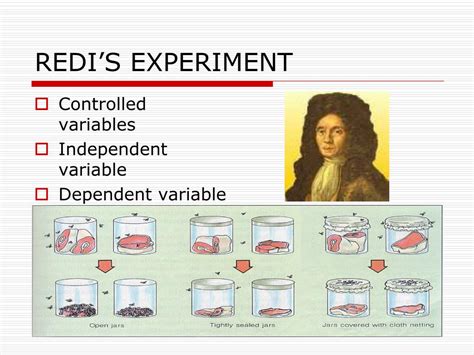 what was the variable in redi's experiment