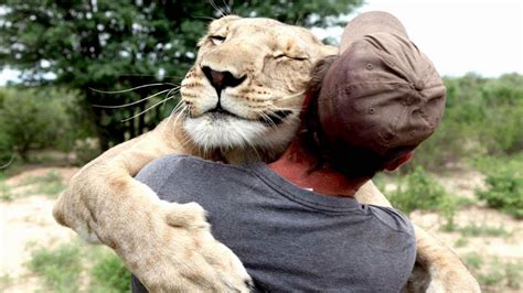 what wild animals are affectionate to humans