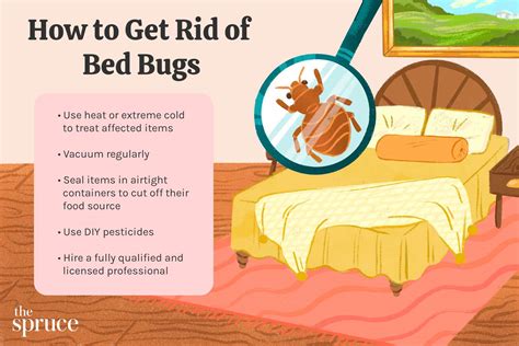 What Will Deter Bed Bugs