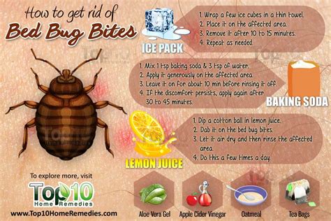 What Will Get Rid Of Bed Bug Bites