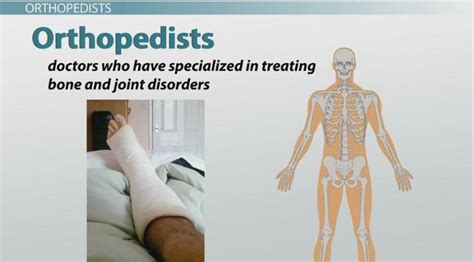 What do osteologists study?